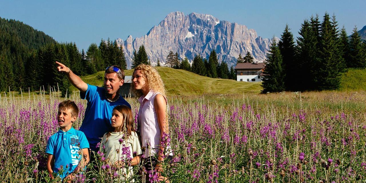 Casa Alpina Sacro Cuore Canale d'Agordo Luaran gambar
